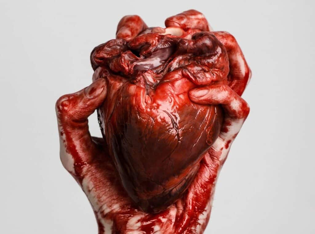 match-of-my-dreams-thump-r