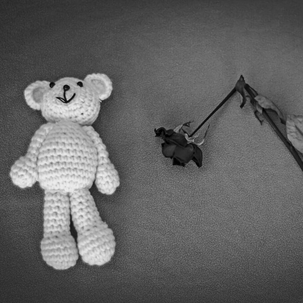 match-of-my-dreams-killed-r