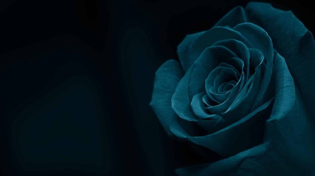 match-of-my-dreams-bf-thing-072022